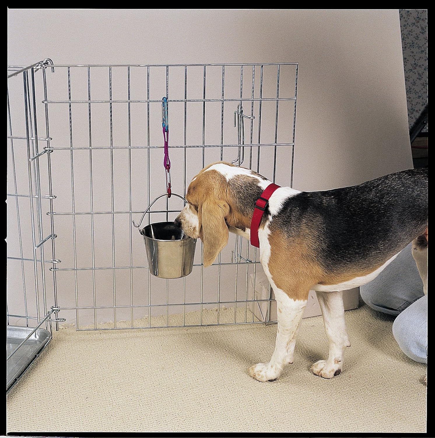 Pro Select Stainless Steel Pet Pail, 1-Quart Size &ndash; Heavy Duty Flat Sided Pail Great for Providing Water in Pet Kennels image number 1