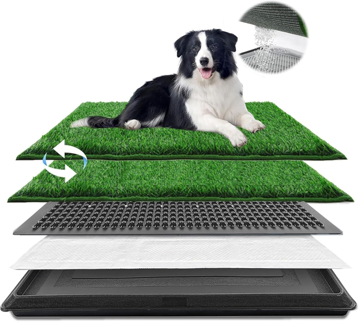CHONYI Large Dog Grass Toilet with Tray, 20X30In Super Absorbent Dog Grass Pad,4 Layer Pee Pets Potty Pad with 2 Grass Mat 1 Pee Pads,Potty Training Dog Litter Box for Indoor Outdoor image number 4