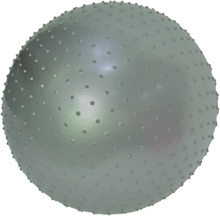 ENDLESS 55 Cm Anti-Burst Yoga Ball, Thick PVC Exercise Ball for Fitness, Pilates, Stability & Home Gym Workouts, Balance Ball Chair for Men and Women, Colour: Silver
