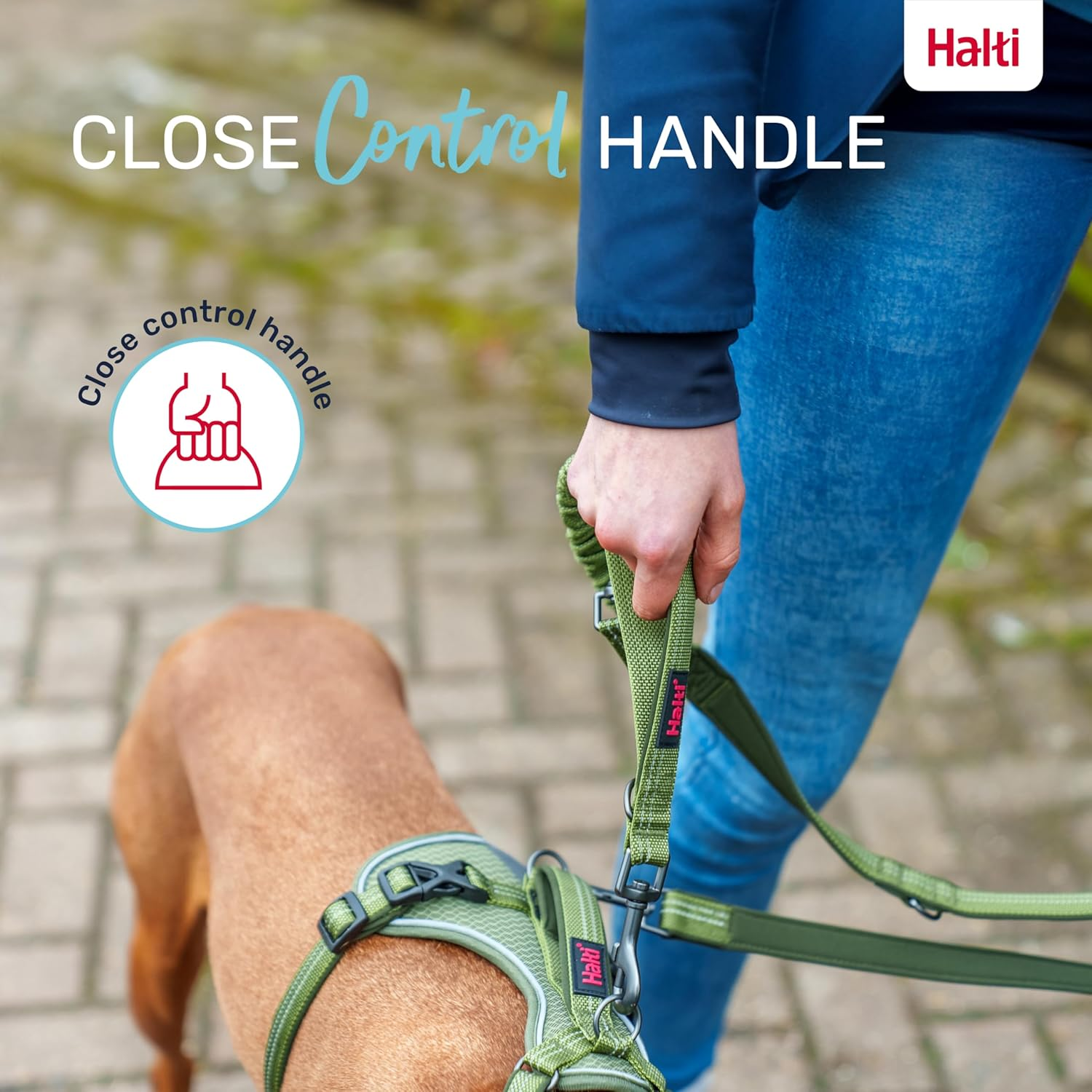 HALTI Anatomy Multifunctional Dog Lead &ndash; Shock Absorbing Double-Ended Lead, Ideal for Dog Walking & Training. Comfortable to Hold, Reflective & Lightweight. Suitable for Puppies (Size Large, Green) image number 7