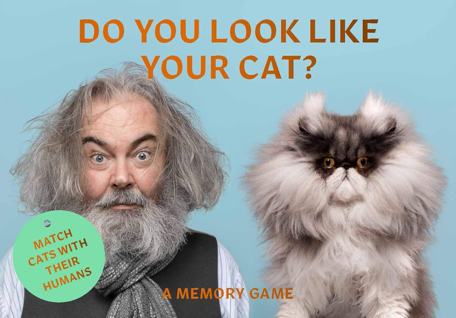 Do You Look like Your Cat?: Match Cats with Their Humans: a Memory Game image number 6