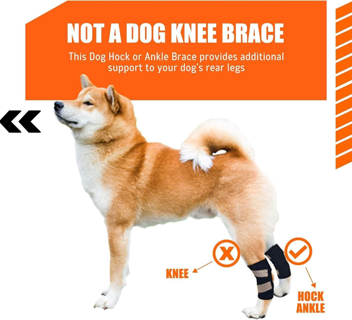 Dog Knee Brace for Torn ACL Hind Leg and Luxating Patella, Canine Rear Hock Joint Support, Joint Injury and Sprain Protection, Removable Design (S) image number 2