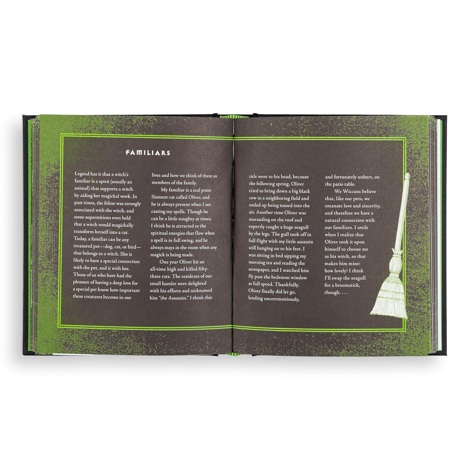 Wiccapedia: a Modern-Day White Witch'S Guide: 1