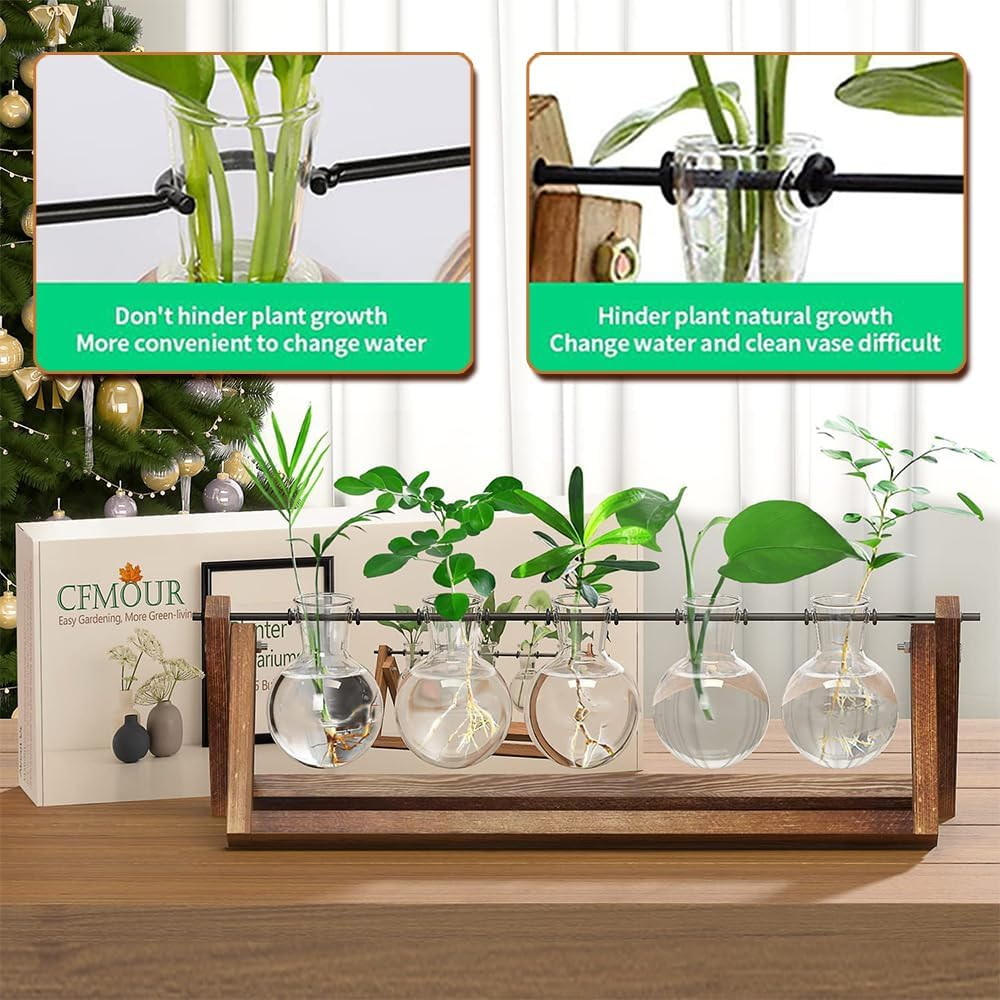 TOMVAES Creative Hydroponic Plant Stand,Glass Desktop Planter,Bulb Vase, Plant Propagation Station, for Hydroponics Plants Office Hotel Garden Home Decor,5 Hyacinth Vase image number 1