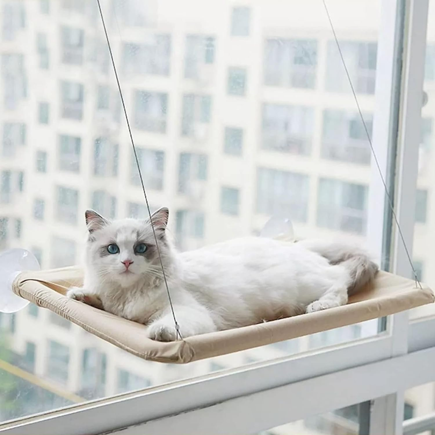 Cat Window Hammock, Window Perch Space Saving Detachable Washable Window Mounted Cat Hammock, Cat Bed Cat Window Perches Bed for All Seasons image number 4
