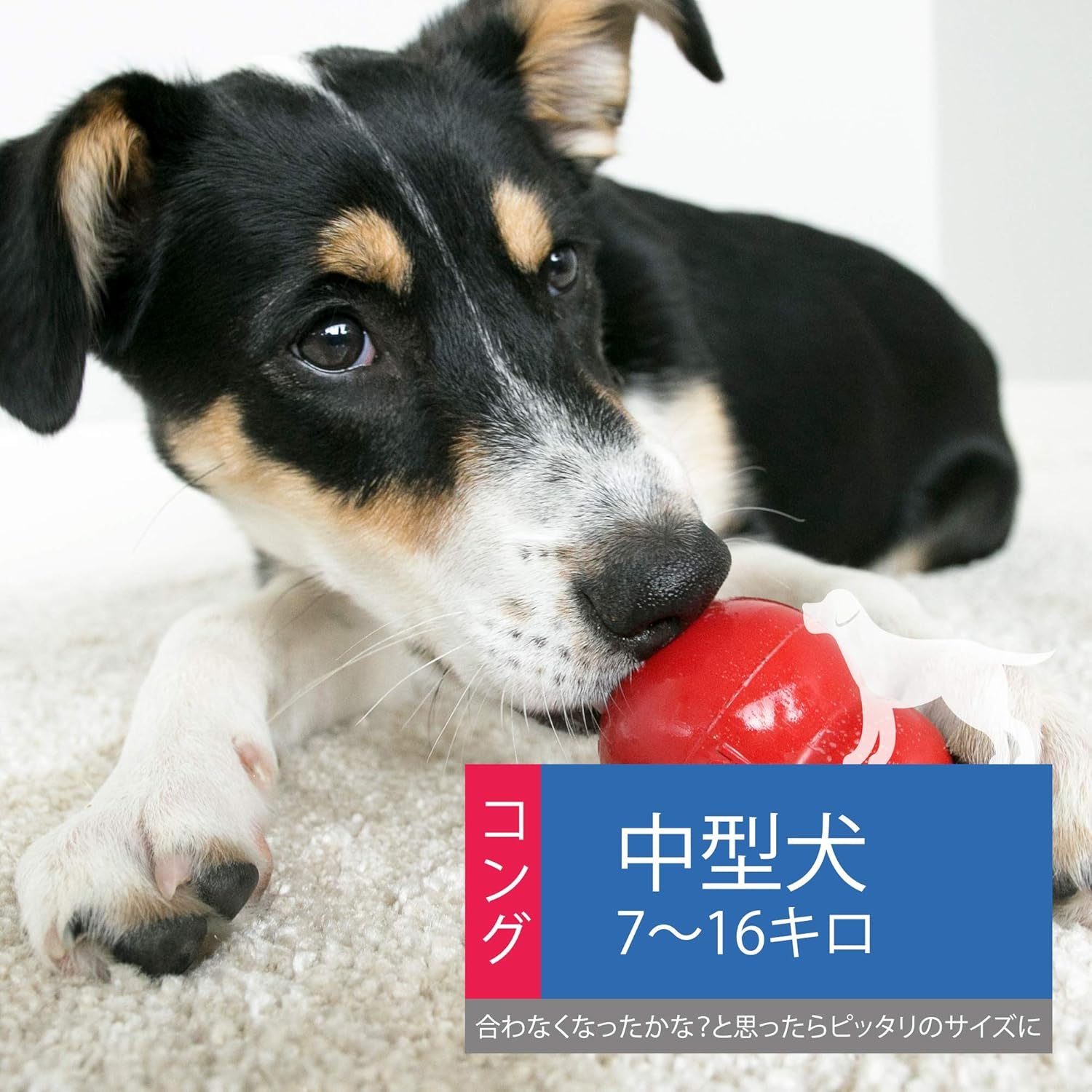 Kong Dog Toy Kong Medium image number 4