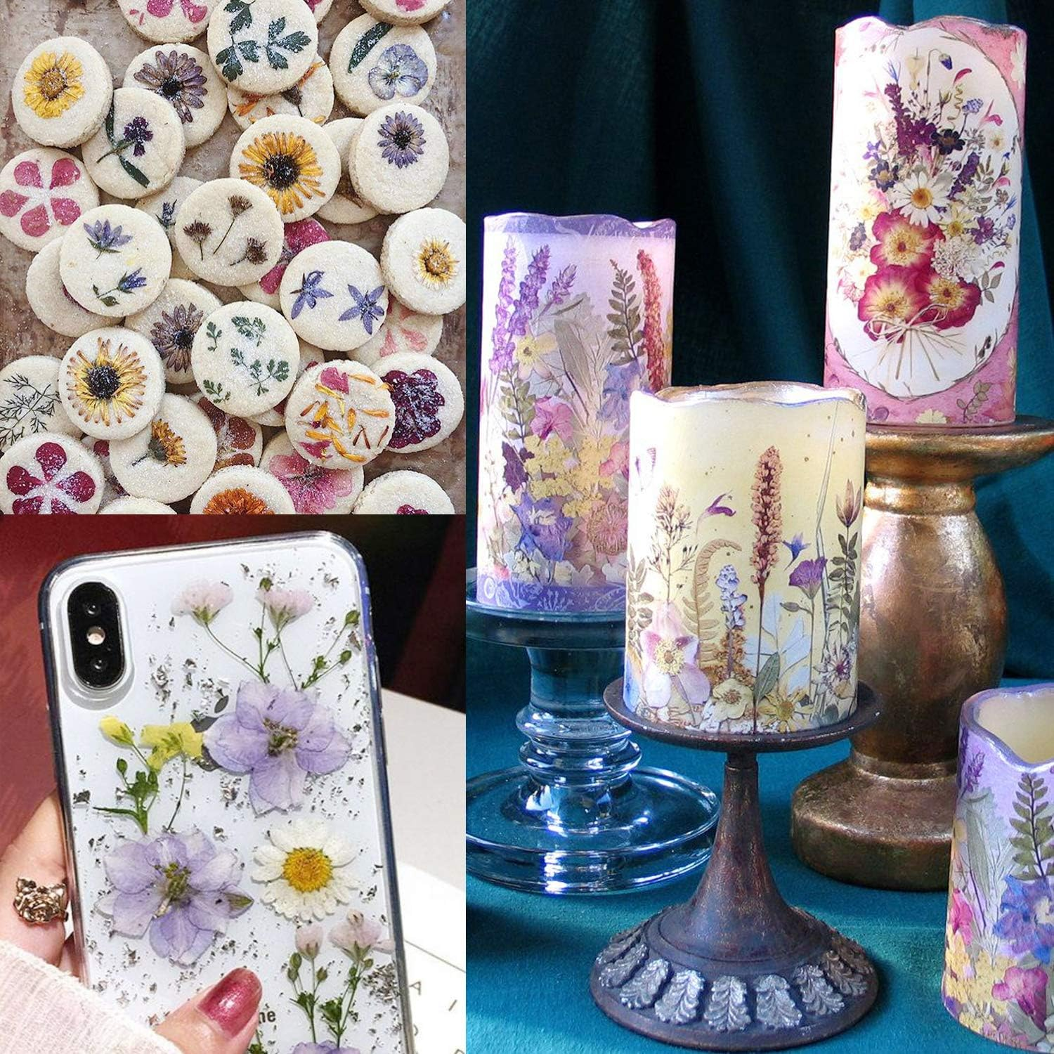 Cinvo 90 Pcs Real Dried Pressed Flowers and Leaves Natural Dried Petals for Candle Resin Jewelry Soap Nail Pendant Phone Case Crafts Making Floral Decors Scrapbooking Diy(Blue, Purple, Pink, Green) - Assorted image number 5