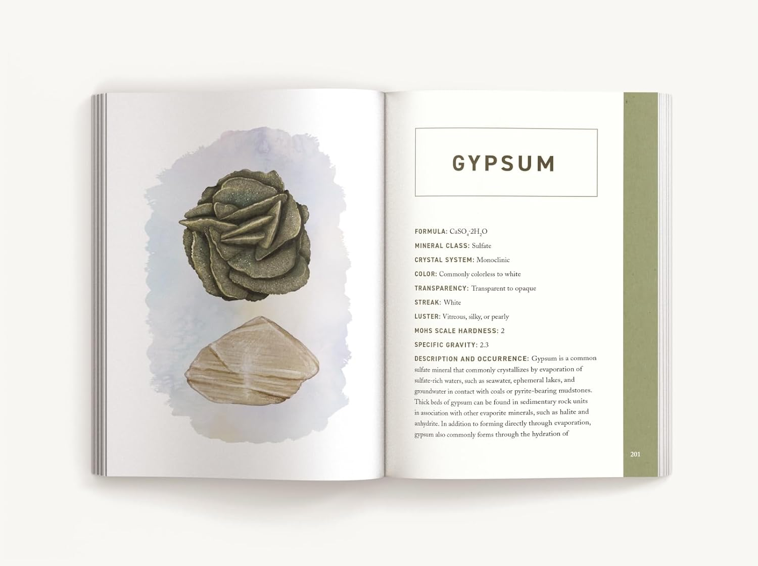 Rocks and Minerals: an Illustrated Field Guide image number 2