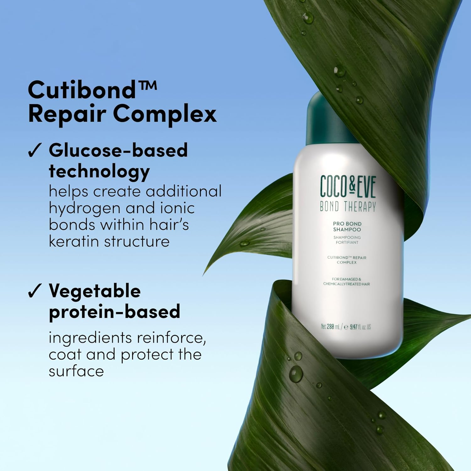 Coco & Eve Bond Therapy Pro Bond Shampoo. Strengthens and Repairs Hair Bonds with Less Breakage. Hydrating & Fortifying Shampoo for Damaged, Chemically Treated Hair. (280 Ml) image number 3