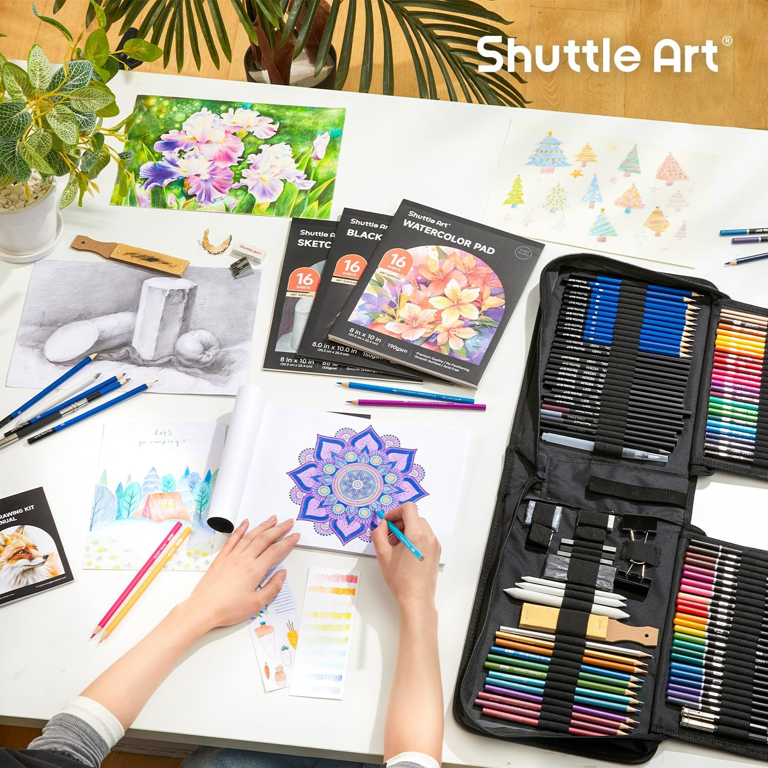 Shuttle Art Sketching and Drawing Pencils Set, 116 Pack Sketch Art Pencil Set with 4 Drawing Pads, Graphite Pencils in Zipper Case, Colouring Pencils for Artist Sketching, Art Set for Adults, Beginner image number 4