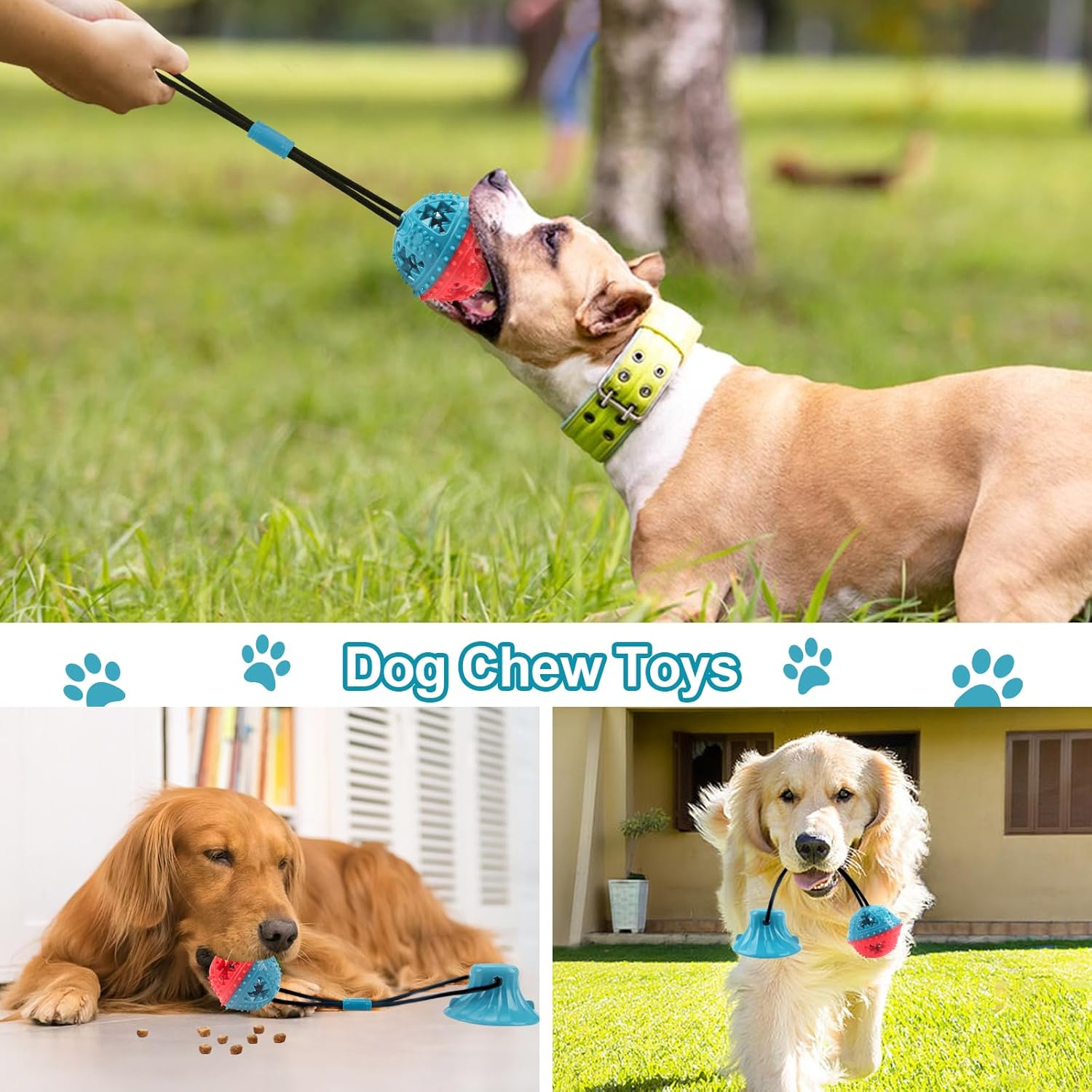 Rayouth Interactive Dog Toys, Suction Cup Tug of War Rope Toy, Puzzle Treat Dispensing Squeaky Ball Toy for Small Medium Breeds, Puppy Teething Toy for Boredom, Keep Them Busy, Mentally Stimulation image number 6