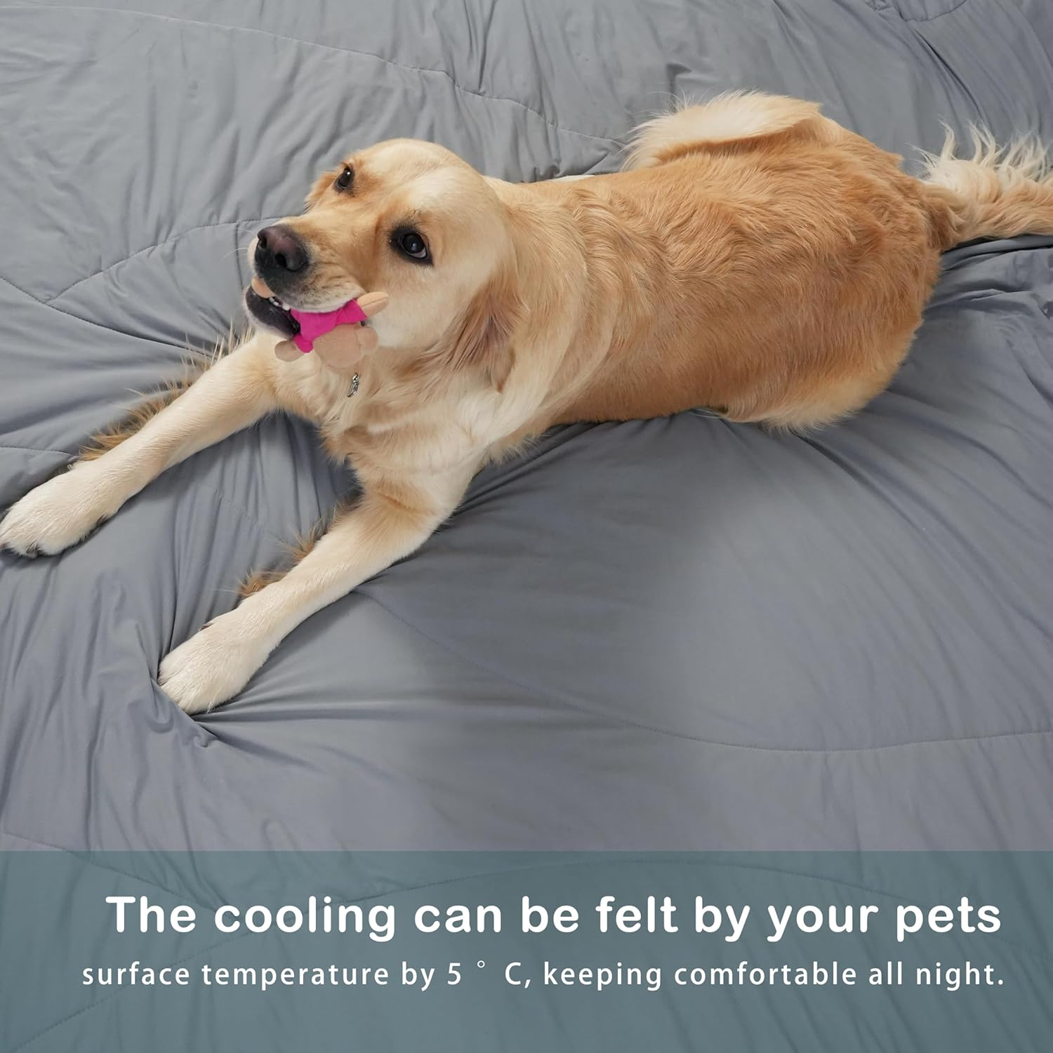 ACCURATEX Cooling Comforter Queen Size,Q-Max > 0.45 Arc-Chill Cooling Blanket, Lightweight Cool Blankets for Hot Sleepers and Night Sweats, Silky Soft Breathable Summer Cool Comforter,Grey(228X228) image number 3