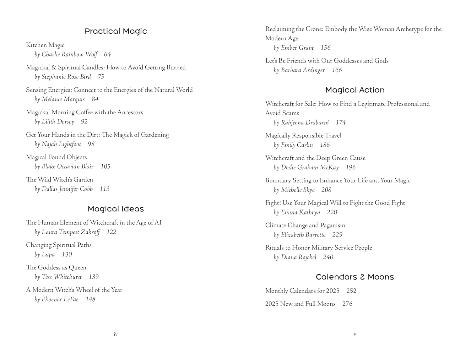 2025 Llewellyn'S Witches' Companion: Community Connection Belonging image number 5