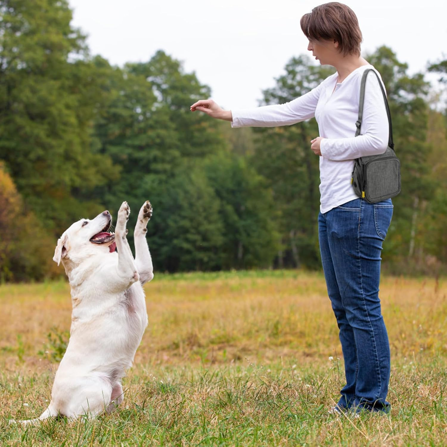 Treat Bag for Dogs, Food Bag, Dog Training, Waterproof, Pet Treat Bag with Waste Bag Dispenser for Walks, Training Sessions and Outdoor Activities image number 3