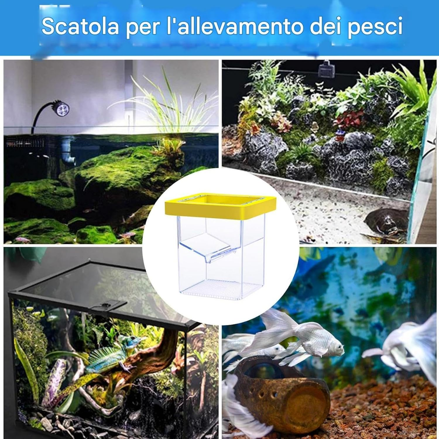 Ccuzs Fish Breeder Box, Aquarium Hatchery Incubator, Transparent Design Easy Installation Fish Nursery, Suction Cup Isolation Container for Aquatic Pets, 4.33X3.39X3.39 Inches image number 1