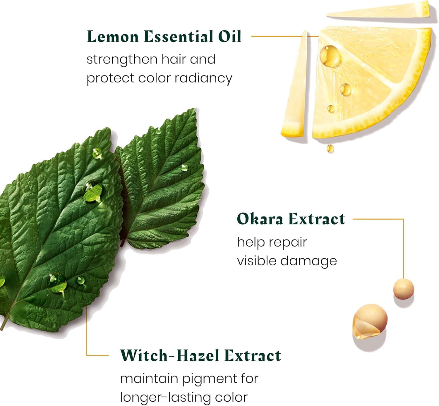 Ren&eacute; Furterer Color Glow Protecting Color Shampoo - Amino Acids & Lemon Essential Oil 16.9 Fl Oz. image number 4