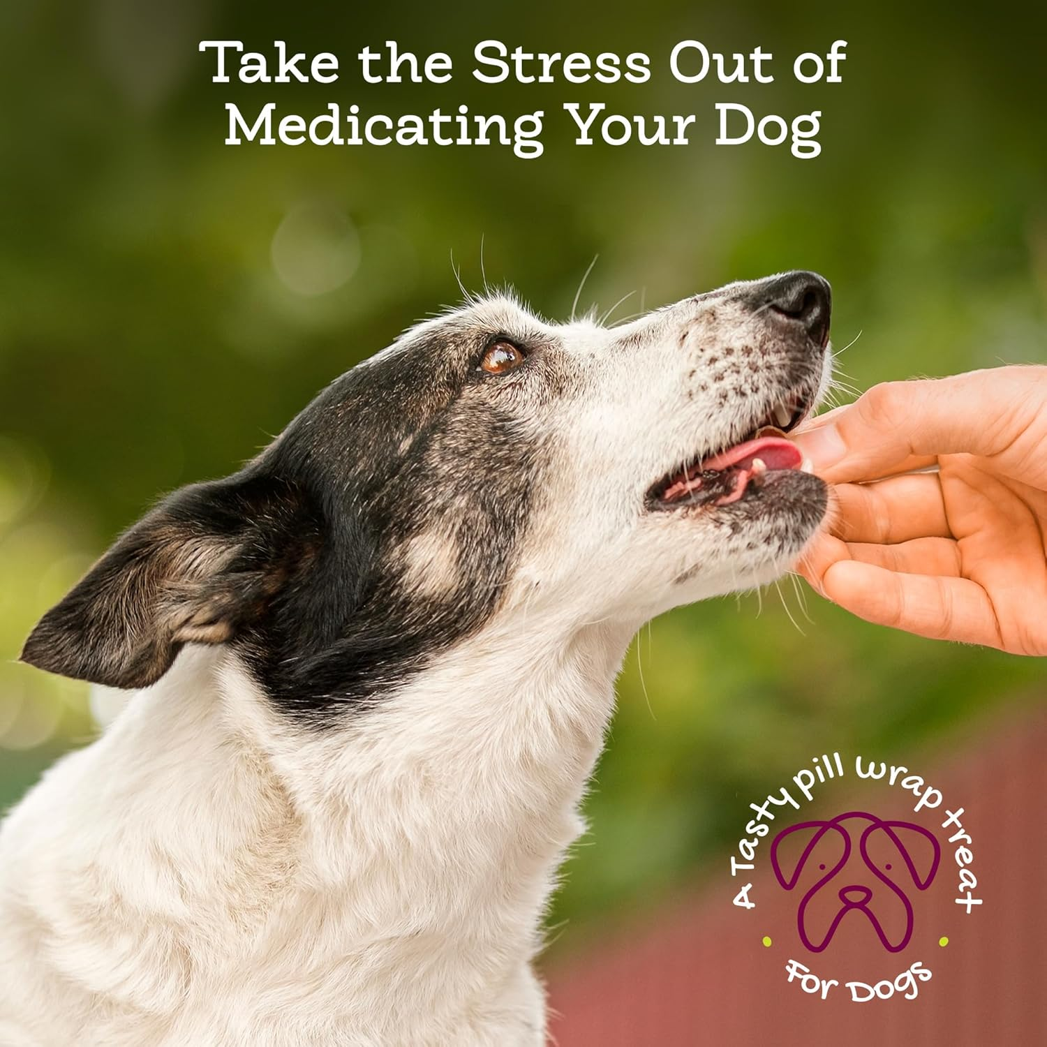 Riley'S Pill Wrap for Dogs - Delicious Cheese & Bacon Flavored Pill Paste for Dogs - Wrap Pills, Capsules, Tablets in a Pocket or Pouch to Mask the Taste & Make Pill Time Fun - 8 Oz image number 5