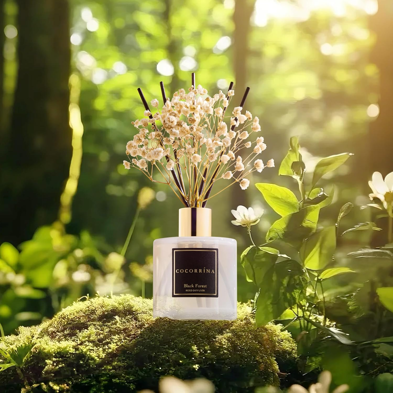 Cocorr&iacute;na Reed Diffuser Sets, 6.7 Oz Black Forest Diffuser with Sticks Home Fragrance Reed Diffuser for Bathroom Shelf Decor image number 3