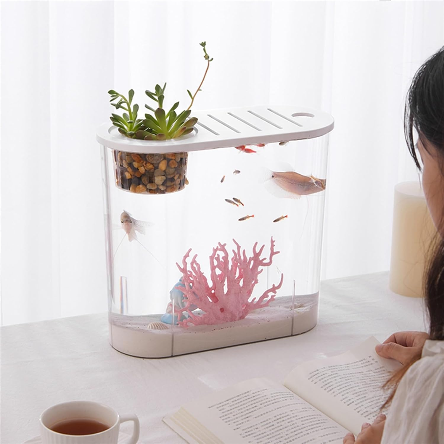 Aquariums Fish Tank Small Micro Landscape Transparent Fish Tank Large Ecological Aquascape Home with Lid Desktop Oval Can Be Planted Aquatic Plants Fish Bowl (Size : L) image number 2