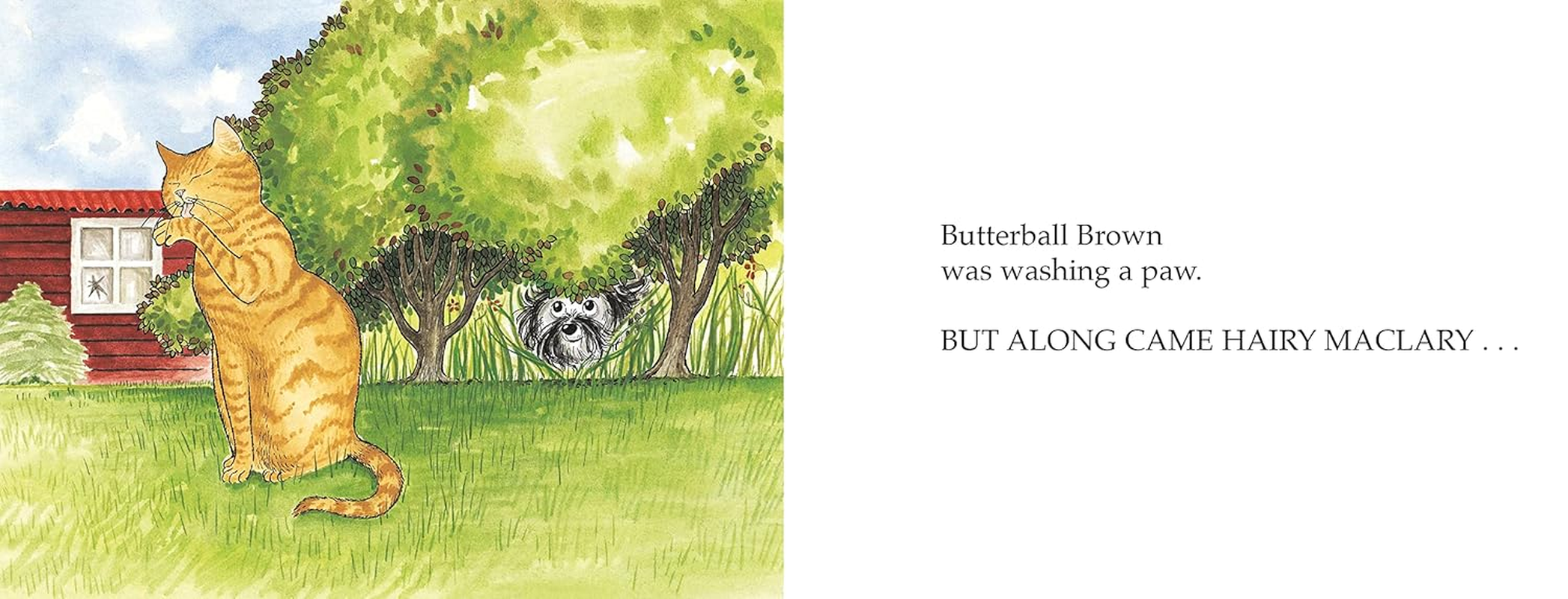 Hairy Maclary Scattercat image number 6