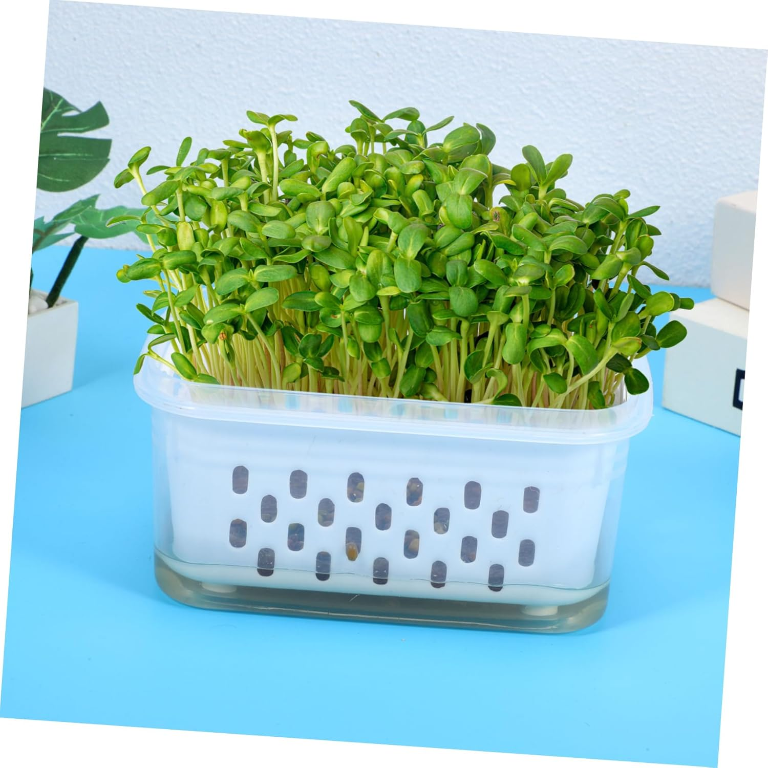 FONDOTIN 2Pcs Nursery Pots for Soilless Planting Small Sprouting Containers Drainage Holes for Indoor and Outdoor Gardening for Seedlings and Plant image number 6