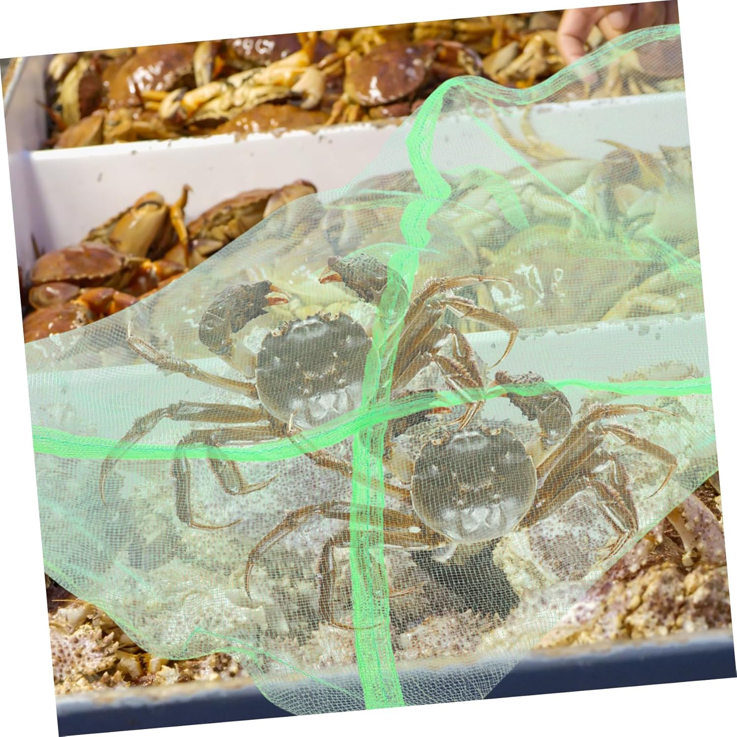 10Pcs Portable Crab Mesh Bags with Drawstring Wear-Resistant Fishing Net Bags for Outdoor Crab Storage and Fish Collection Lightweight Breathable Pouch for Garden Use image number 5