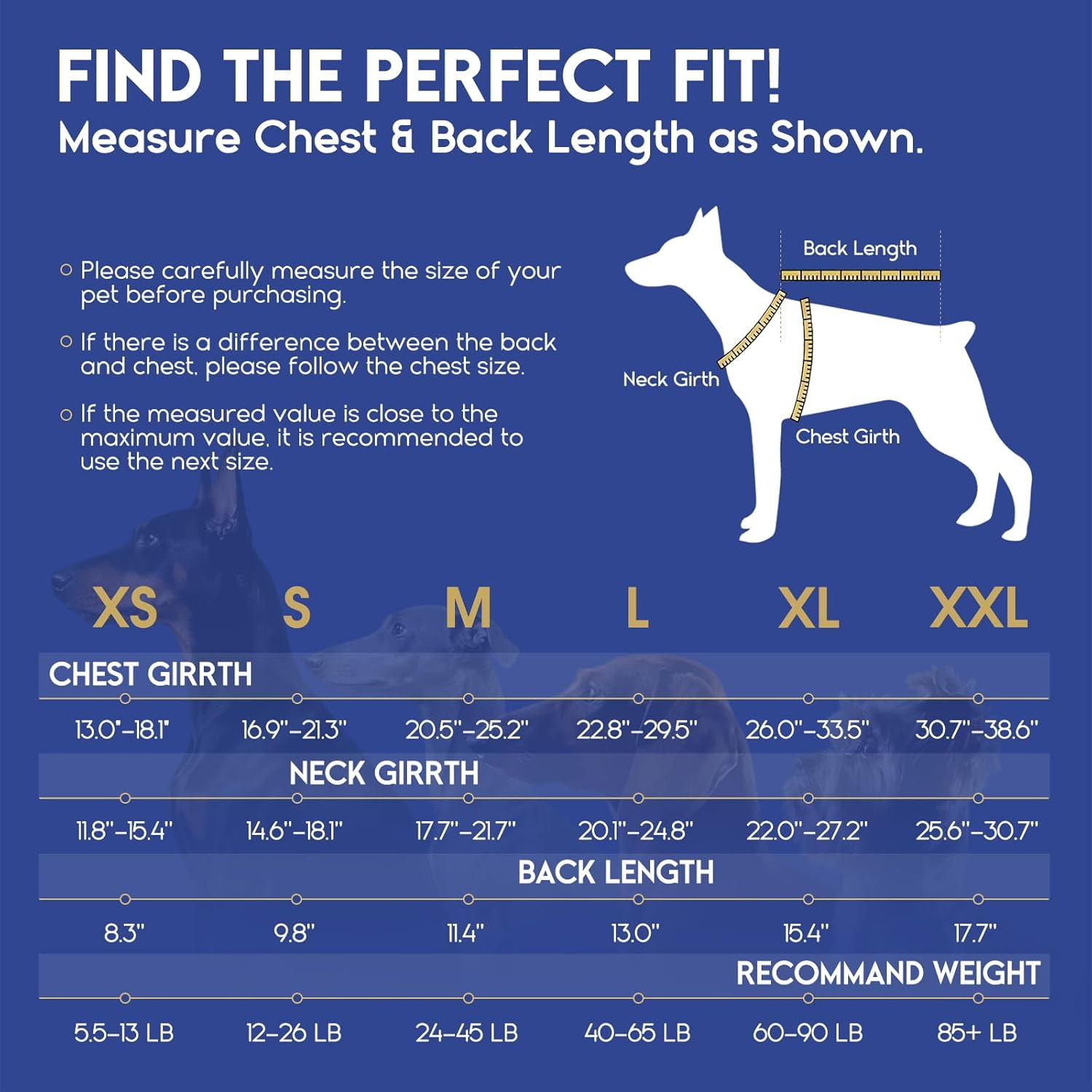 ASENKU Dog Life Jacket - Pet Safety Vest for Swimming & Boating, Shark Life Jacket with Floatation, Dog Lifesavers Swimsuits for Small Medium Large Dogs (Green, XS) image number 5