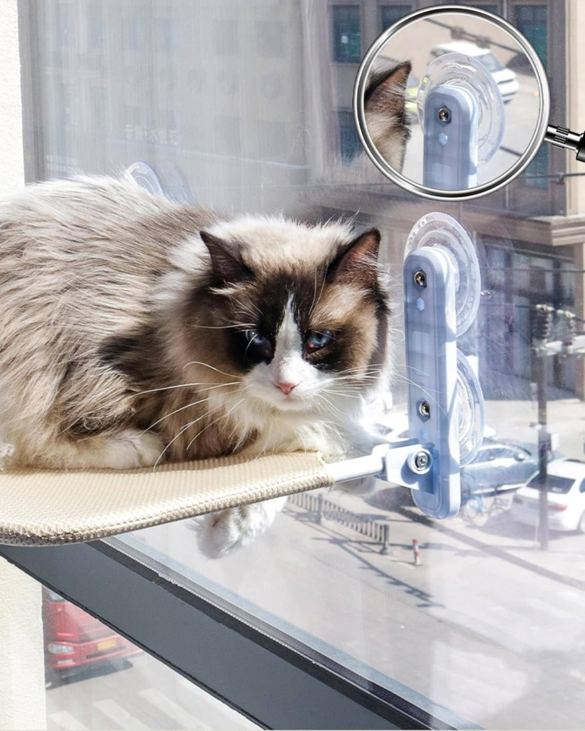 Cat Hammock Suction Cup Glass Cat Bed Hanging Window Cat Hanging Bed Cat Nest/170 image number 1