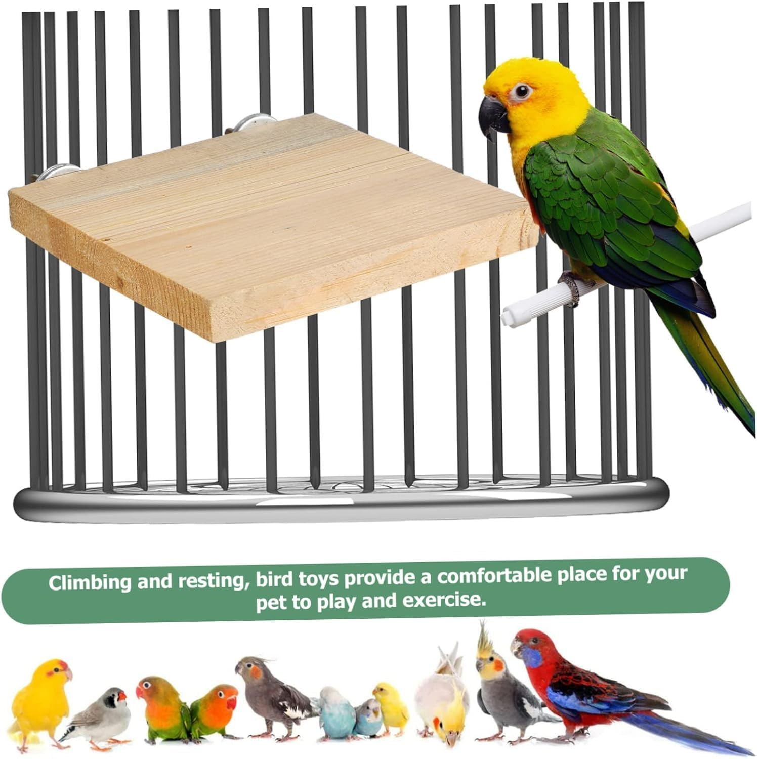 Ksngtixe 2Pcs Natural Wooden Bird Perch Stands, Flat Platform for Small Parrots, Cockatiels & Parakeets - Easy Install Cage Accessories for Playtime, Chewing Fun & Climbing