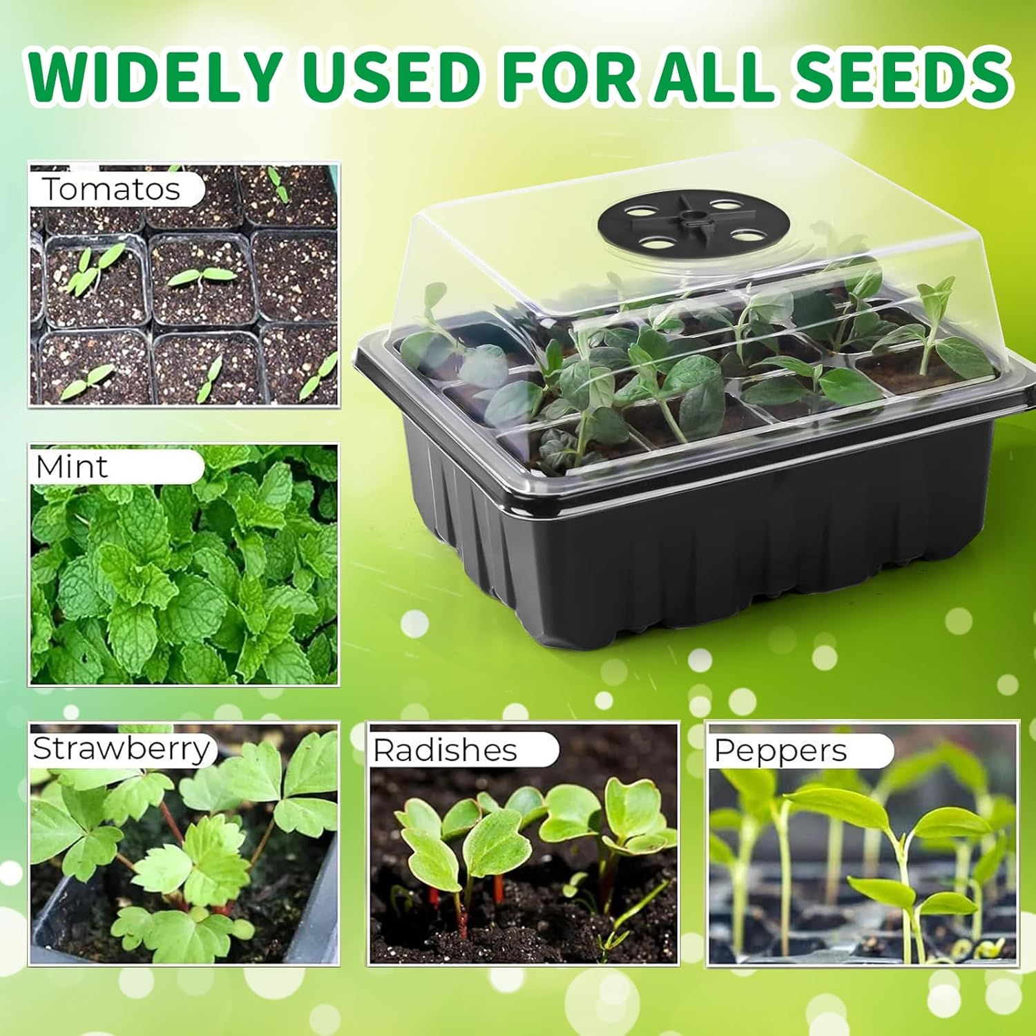 Seed Starter Tray with Grow Light, 5 Pack 60 Cells Seed Starter Kit with Humidity Dome and Base, Plant Seedling Trays Indoor Greenhouse Gardening image number 2