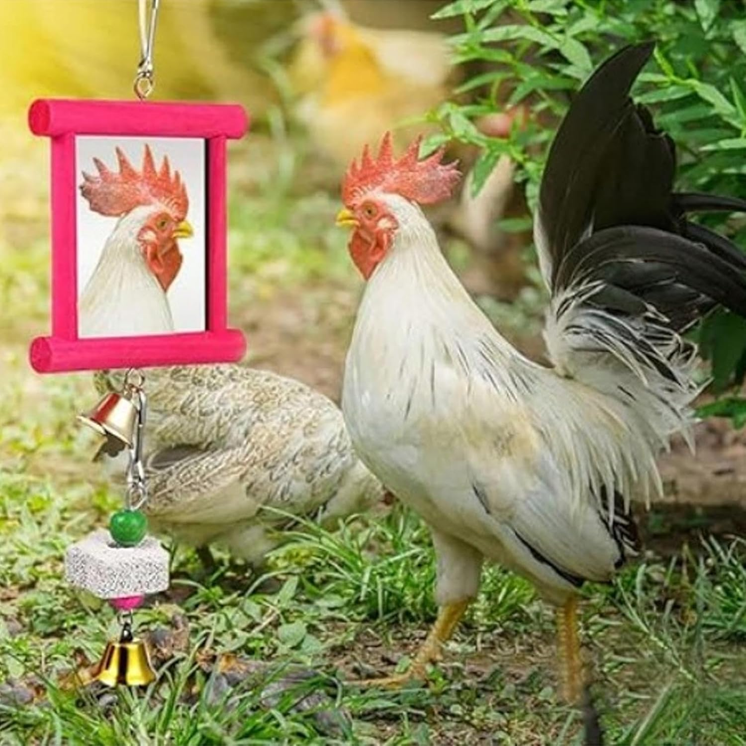 Gihioue Chicken Swing Mirror,Coop Enrichment Mirror Pecking Toy | Safe Multi Functional Roosters Hens Entertainment for Garden Farm Outdoor Space image number 2