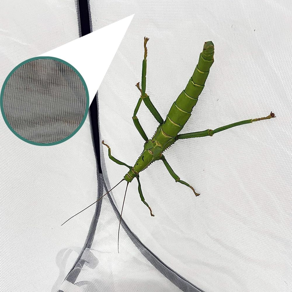 36" Mesh Plant Enclosure Pop-Up Plant Protection Tent,24" X 24" X 36" Pop up Garden Mesh Plant Cover, for Protect Plant Vegetable Fruit from Birds Insects(Black) image number 3