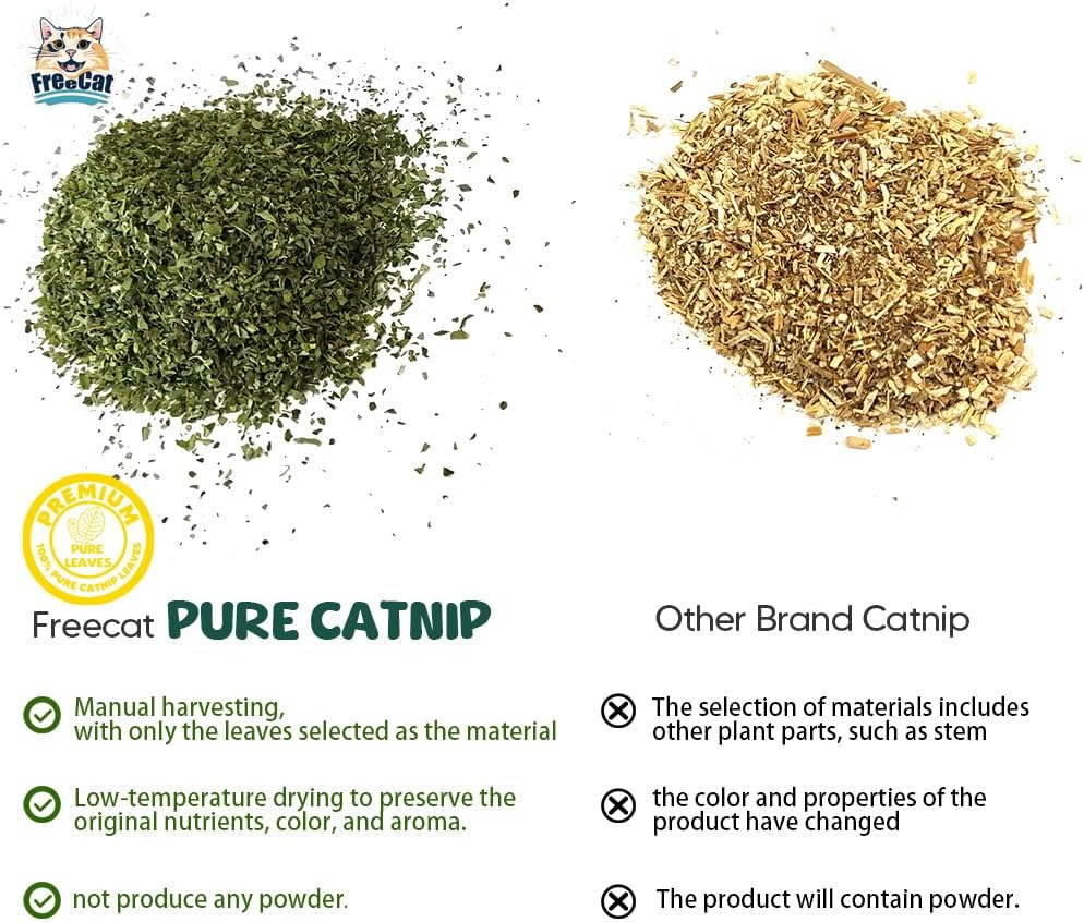 Catnip 15G, Premium Fresh Green Leaves Only, Mental Stimulation, Training, for Cats&Kittens image number 3