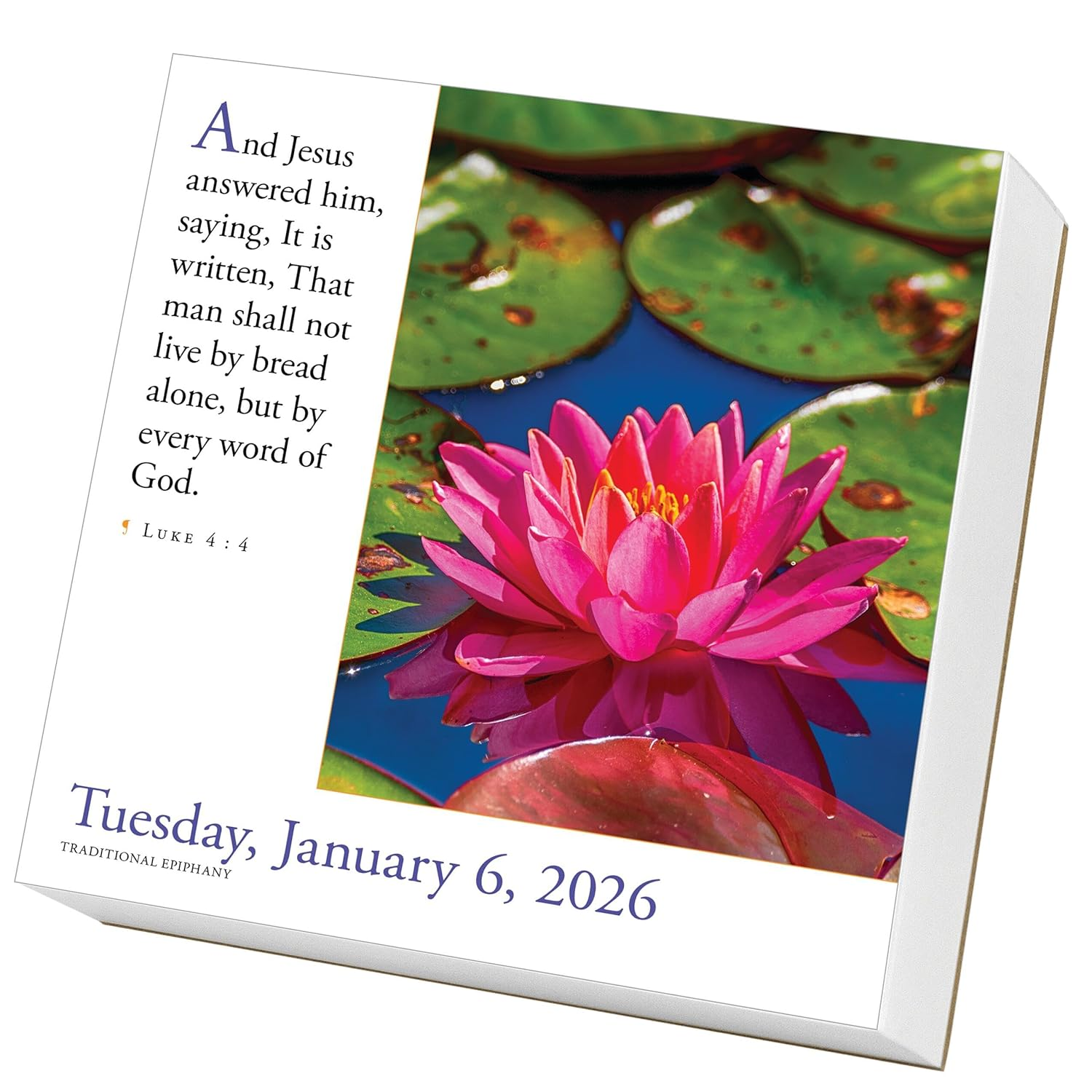 Workman Calendars 365 Bible Verses-A-Year Page-A-Day Calendar 2026: Timeless Words from the Bible to Guide, Comfort, and Inspire image number 3