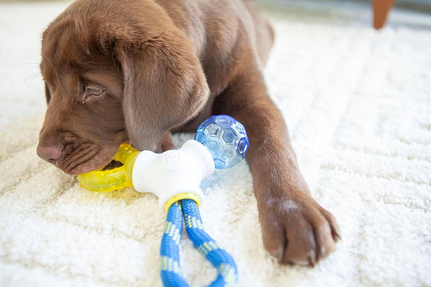 JW Puppy Connects 3-In-1 Puppy Toy image number 1