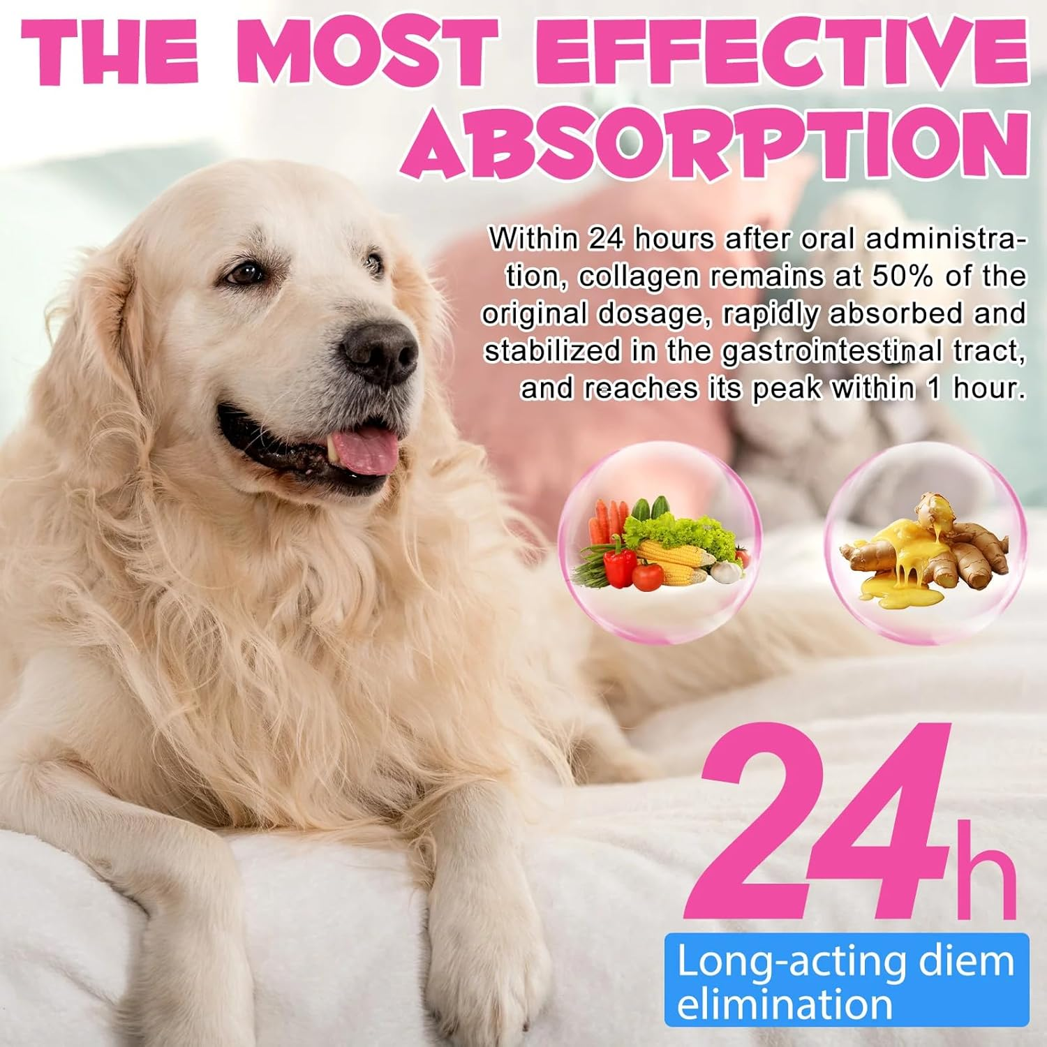 Collagen for Dogs 60Ml | Liquid Dog Collagen Supplement with Biotin, MSM & Ginger | Joint, Skin, Coat & Itch Relief | Digestive & Immune Health | Bacon Flavour image number 3