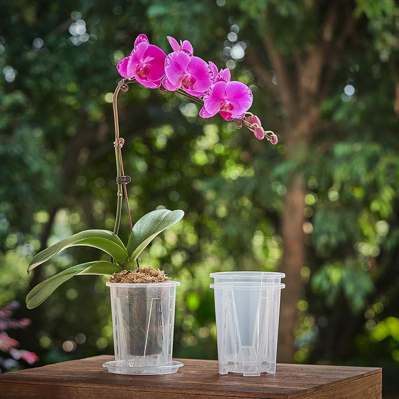 5 Piece of 14 Cm Clear Plastic Plant Pots with Holes and Saucers, Breathable for Orchids, Succulents and Houseplants. image number 1