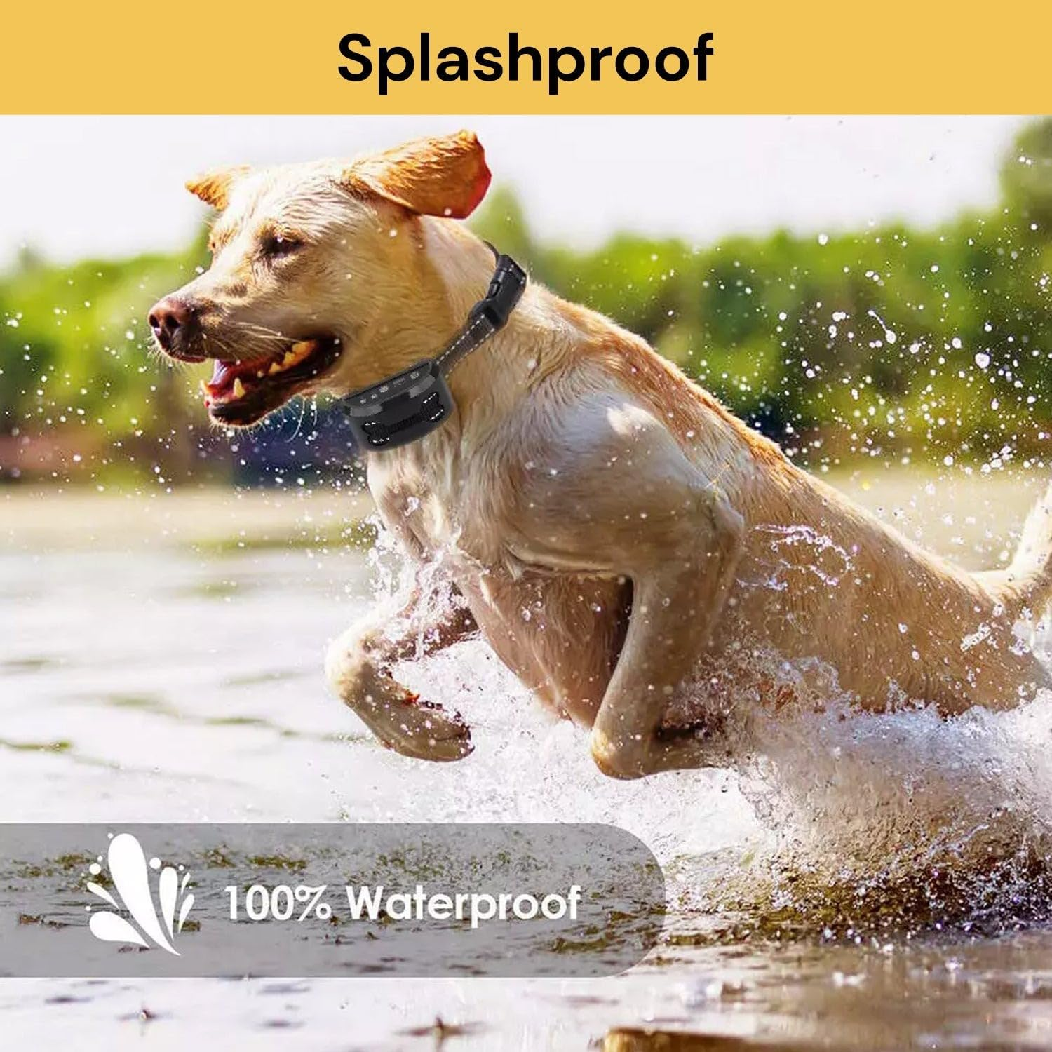 EZONEDEAL Dog Bark Collar, anti Bark Control Collar 7Gears Sensitivity Proof Electric No Shock USB Charge Adjustable Rechargeable for Small Medium Large Pet Dogs Puppy image number 1