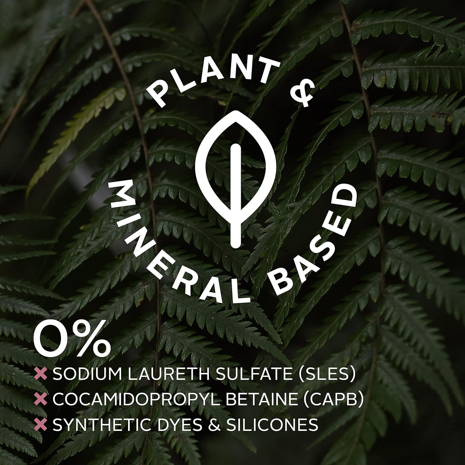 Ecostore Hydrating Conditioner 350Ml, Gently Detangles, Smooths and Controls Frizz, Naturally-Derived Plum & Violet Fragrance, for Soft, Shiny, Healthy Looking Hair, Plant and Mineral-Based. image number 1