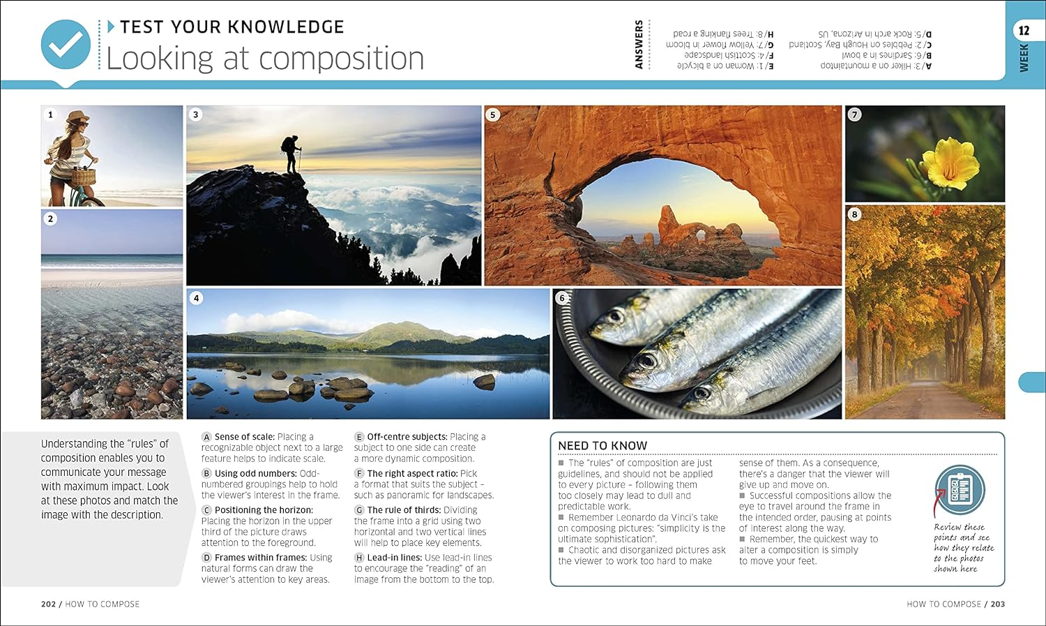 Digital Photography Complete Course: Everything You Need to Know in 20 Weeks image number 4