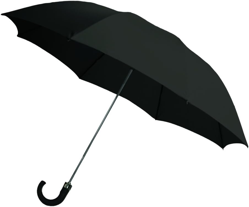 Rainbrella 2-Fold Auto Open Umbrella