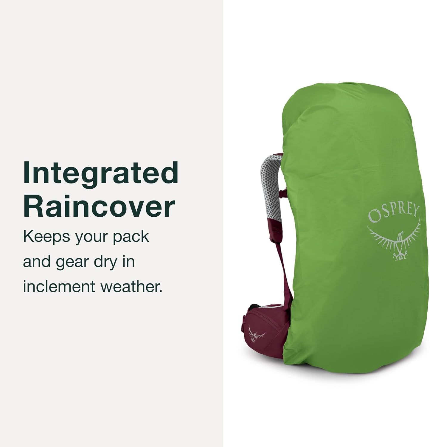 Osprey Osprey image number 4