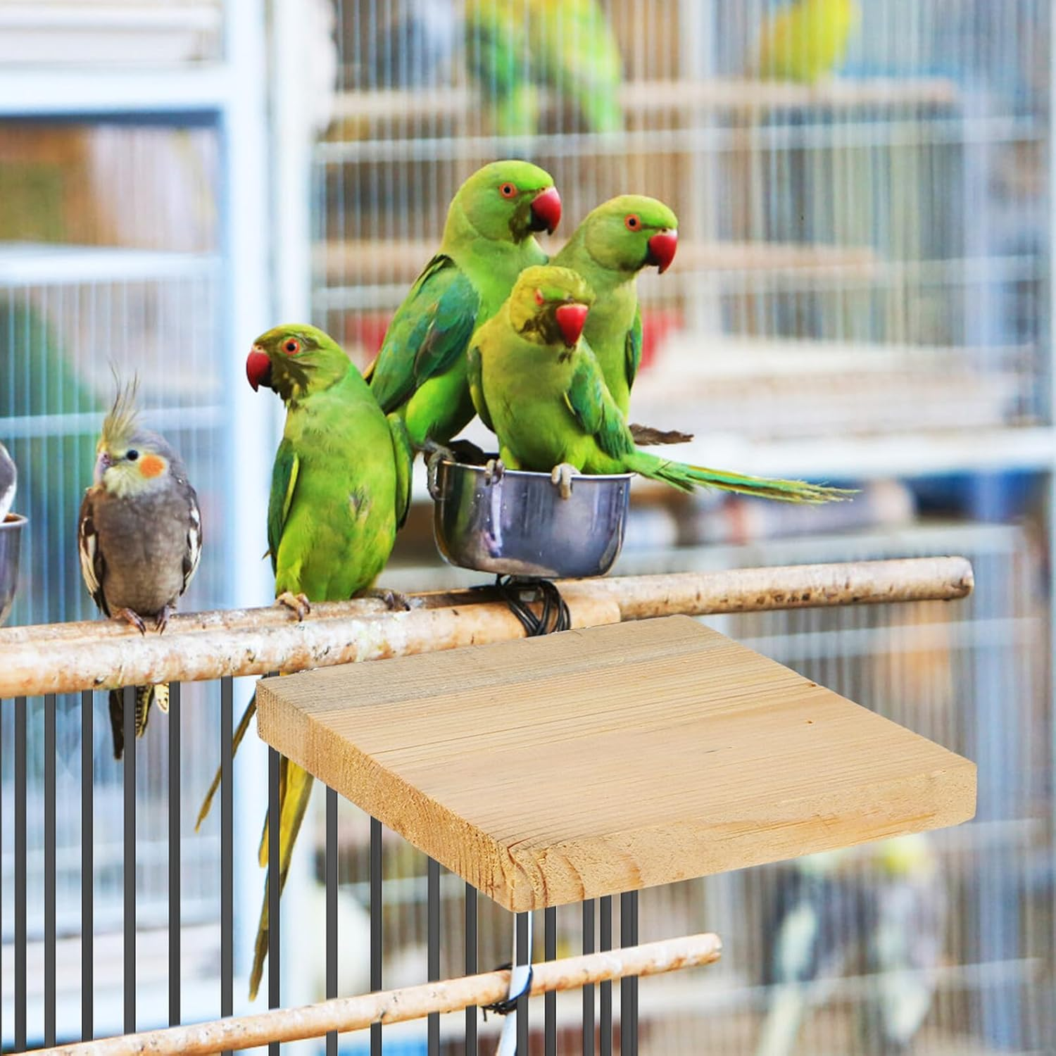 GANAZONO 2 Pcs Wooden Bird Perch Platforms for Parakeets and Small Birds Flat Natural Wood Stands with Screw Mounts Non-Toxic Cage Accessories for Cockatiels Conures Finches Slip-Resistant