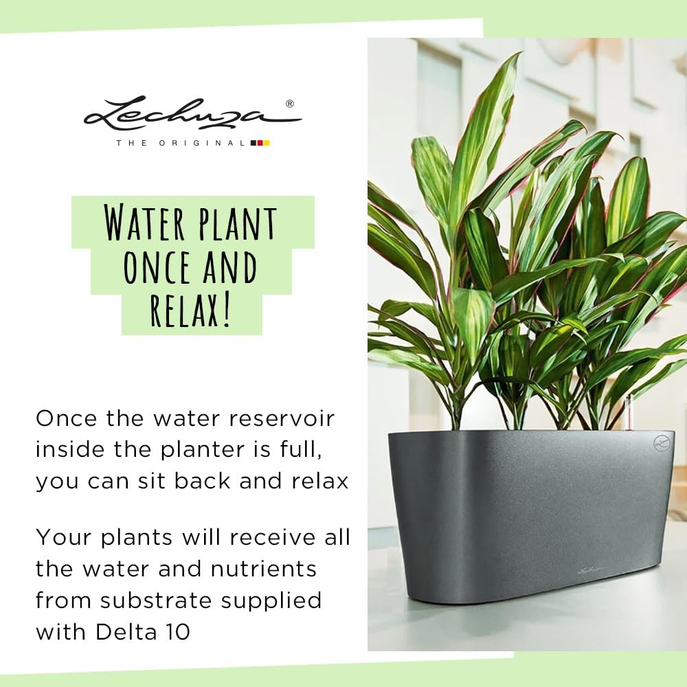 Lechuza Delta 10 Self Watering Plant Pot, White High Gloss, 30 Cm image number 3