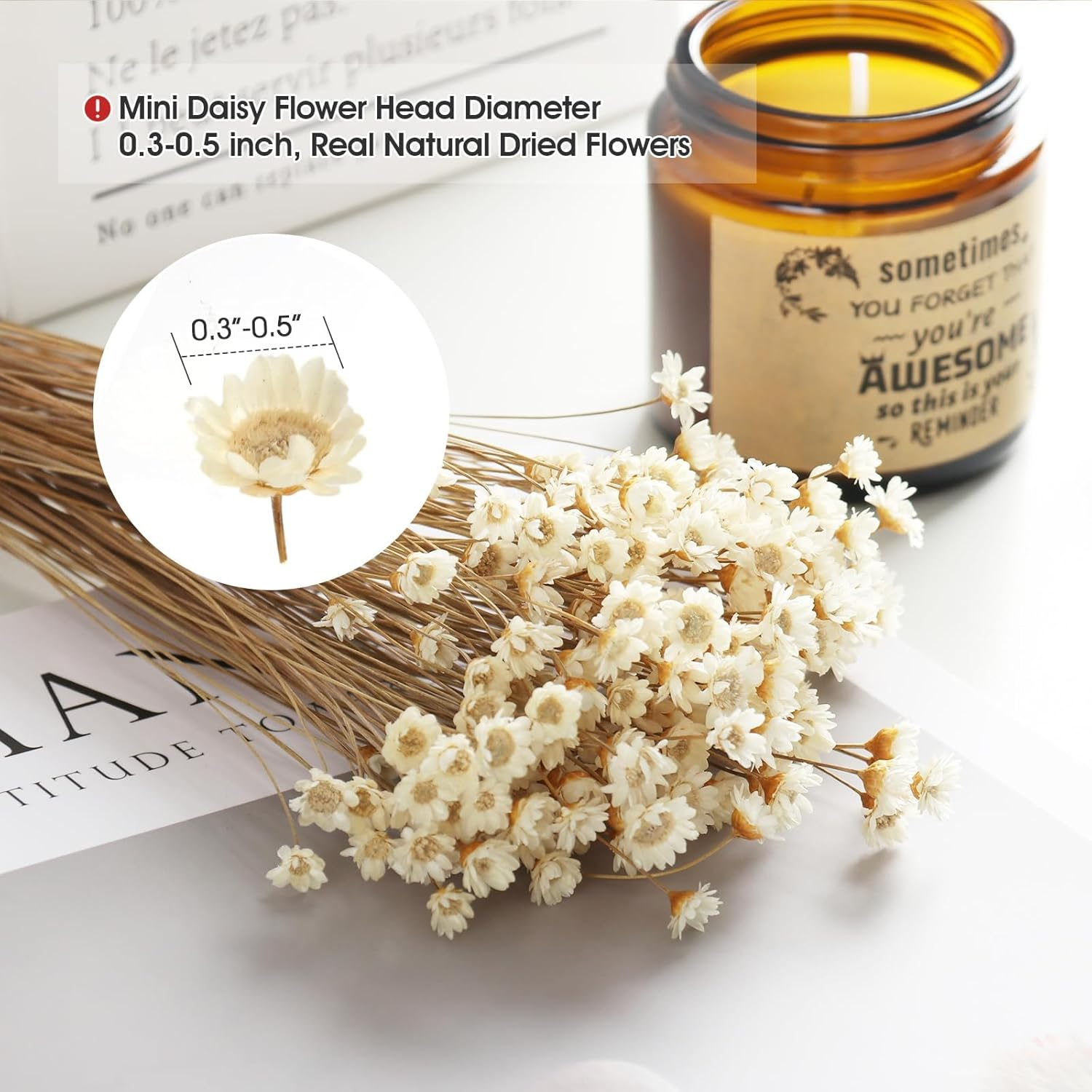 MIHUAGE Dried Flower Mini Star Brazilian Daisy Dried Natural Decorative Small Chamomile Bouquet 200 Stems for Wedding Floral Arrangements Home Decorations Valentine'S Day Gifts (Natural White) - Natural White image number 4