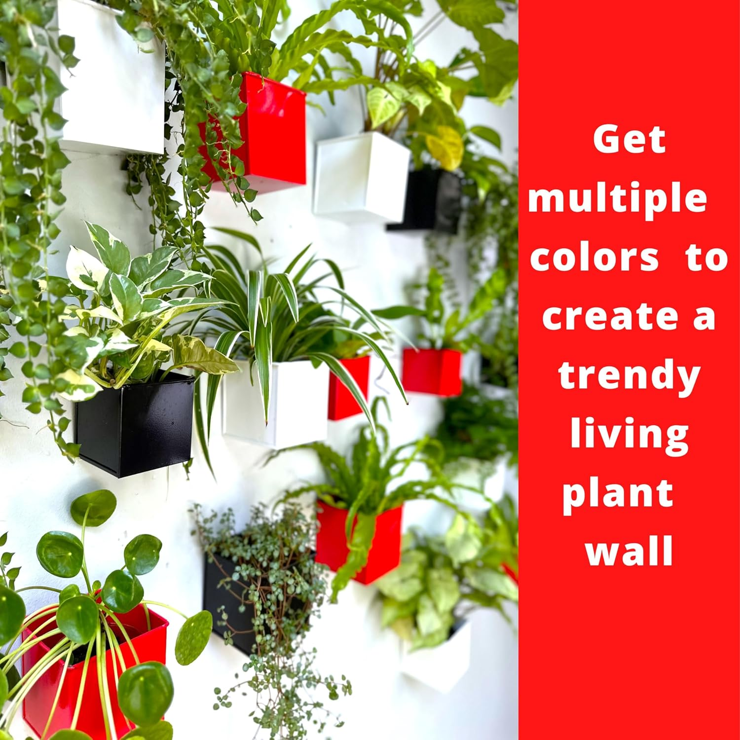 Lalagreen Wall Planter - 6 Pack, 4 Inch Square Metal Wall Planter for Indoor Plants, Small Black Wall Mounted Flower Pots Outdoor Garden Decoration, Balcony Planters Railings Hanging Outdoor - Black image number 5