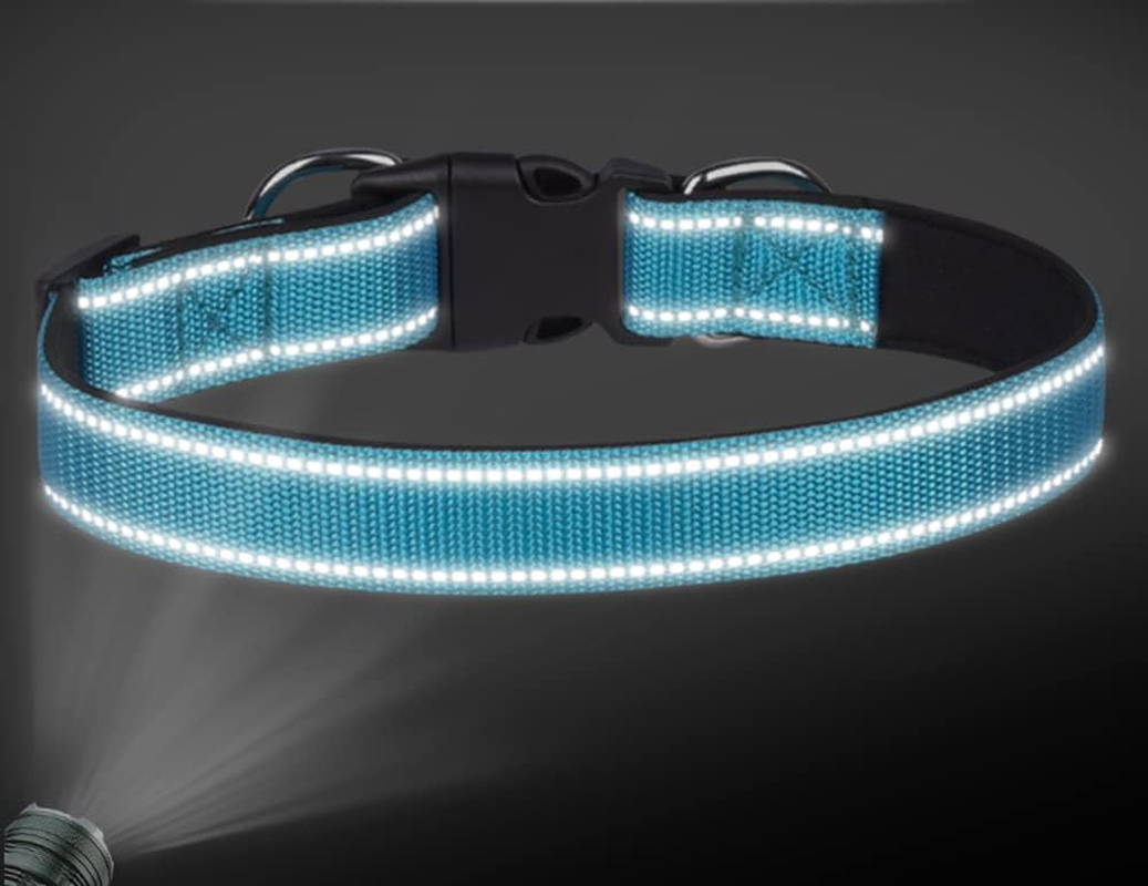 Haoyueer Padded Dog Collar Reflective Dog Collars for Small Medium Large Dogs Comfortable Soft Neoprene Adjustable Basic Dog Collars (S, Red) image number 6