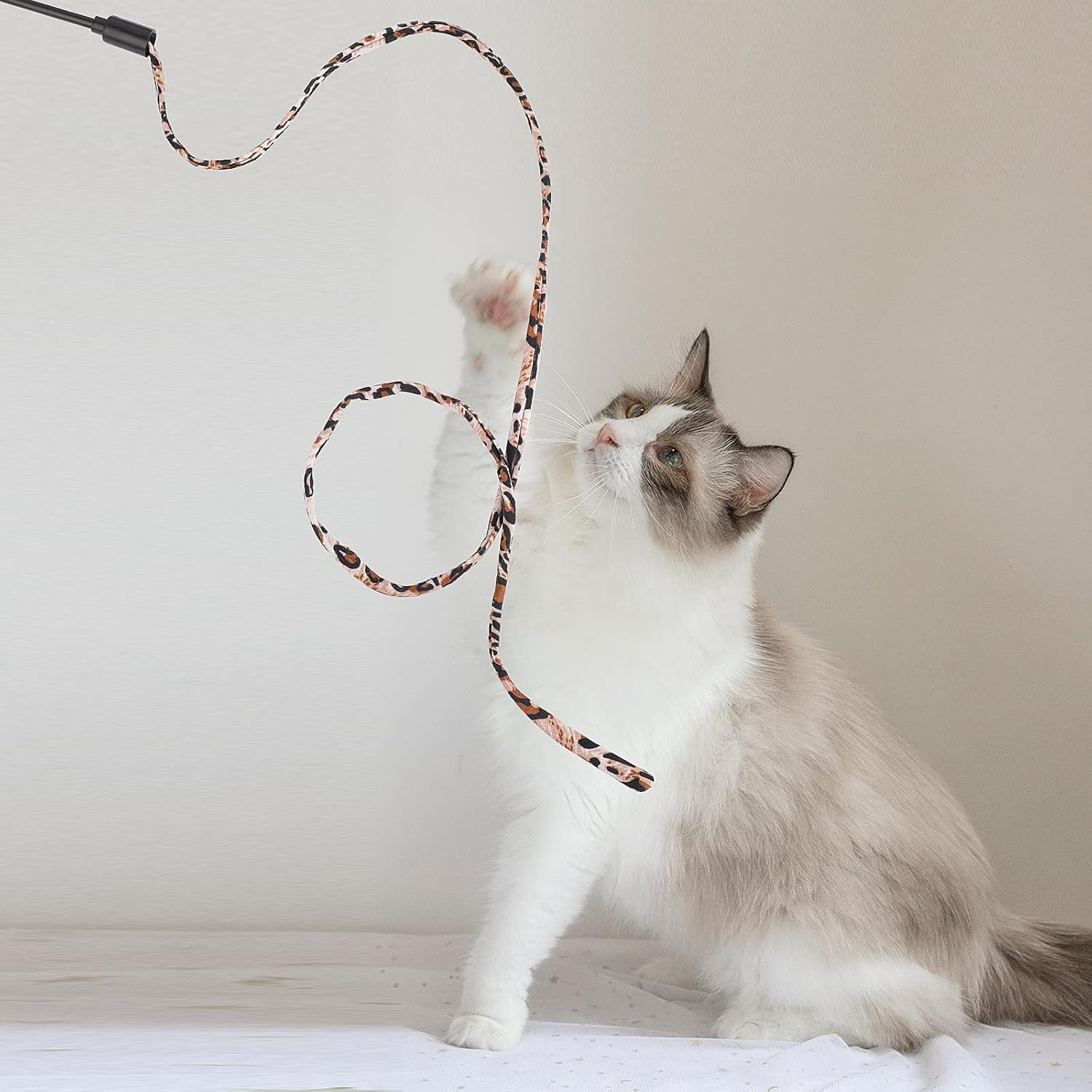 Molain Cat Wand Rainbow Toy - 5Pcs Ribbon for Kittens Training, Interactive Stick Toy for Kitten Exerciser Playing (30Cm, Leopard Print) image number 5