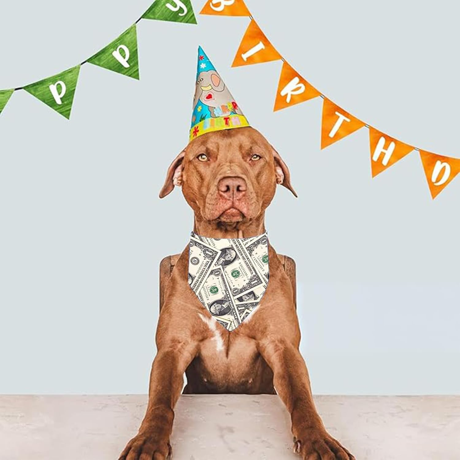 BSITSSS Pack of 3 Dog Bandanas, American Dollar Dog Bandana, Neckerchiefs, Dog Scarves, Dog Scarf Accessories for Dogs and Cats Birthday image number 3