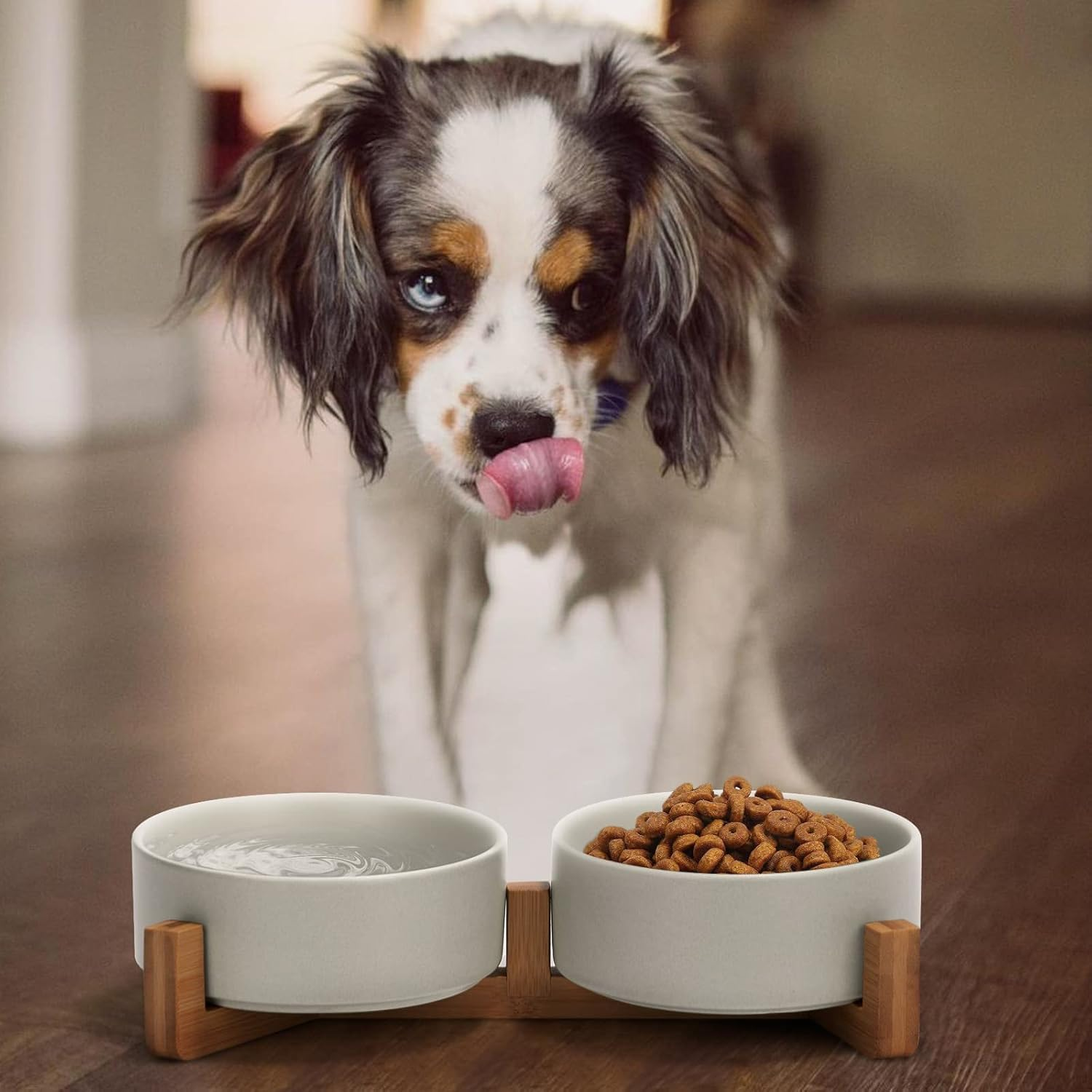 SPUNKYJUNKY Ceramic Dog and Cat Bowl with Wood Stand Non-Slip Matte Glaze Weighted Food Water Set for Cats &Small Dogs 13.5OZ image number 2